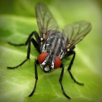 /album/suctafatel/photolia-a01-jpg/