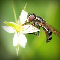 /album/suctafatel/photolia-a02-jpg/