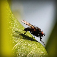 /album/suctafatel/photolia-a04-jpg/