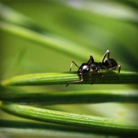 /album/suctafatel/photolia-a05-jpg/