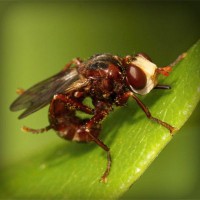 /album/suctafatel/photolia-a06-jpg/