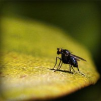 /album/suctafatel/photolia-a07-jpg/