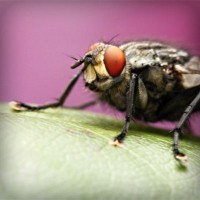 /album/suctafatel/photolia-a08-jpg/